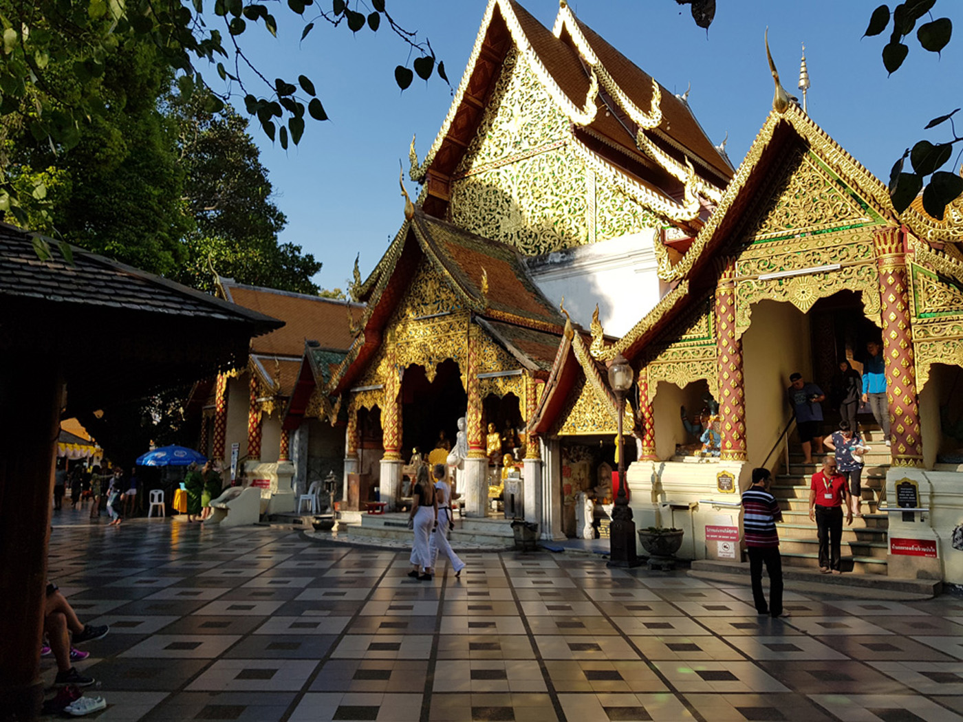 An unforgettable week in Chiang Mai, Thailand
